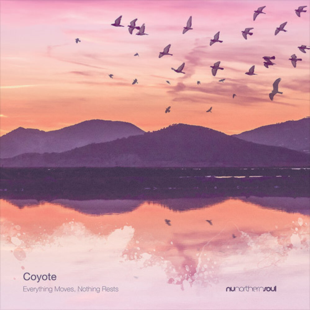 the album cover for COYOTE - Everything Moves Nothing Rests