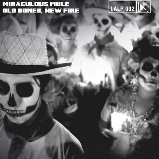 the album cover for Miraculous Mule - Old Bones New Fire