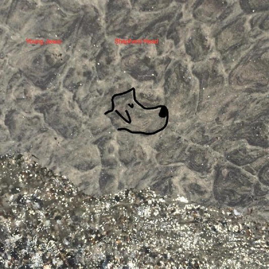 the album cover for Young Jesus - Shepherd Head [LP]