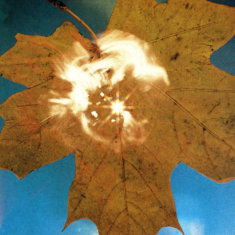 the album cover for Soyuz (??Io3) - Force Of The Wind
