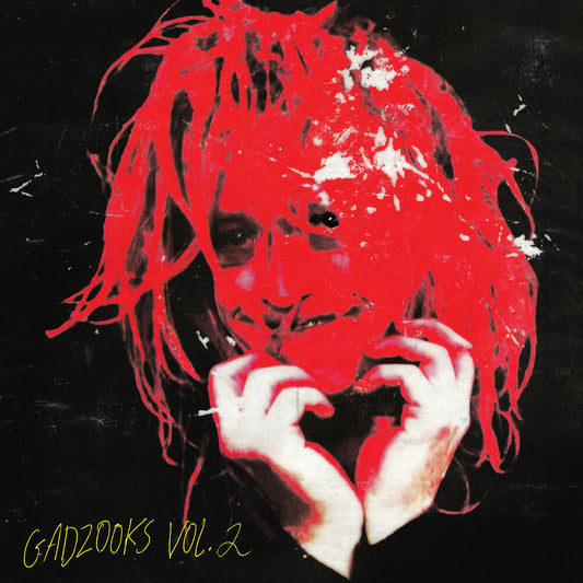 the album cover for Caleb Landry Jones - Gadzooks Vol. 2 [LP]