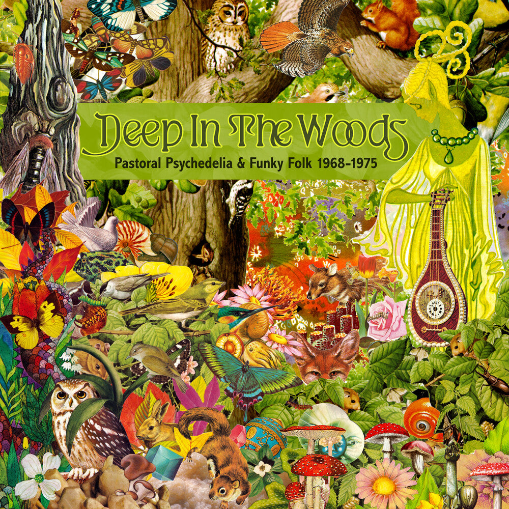 the album cover for Deep in the Woods: Pastoral Psychedelia & Funky - Deep In The Woods: Pastoral Psychedelia & Funky Folk 1968-1975 / Various