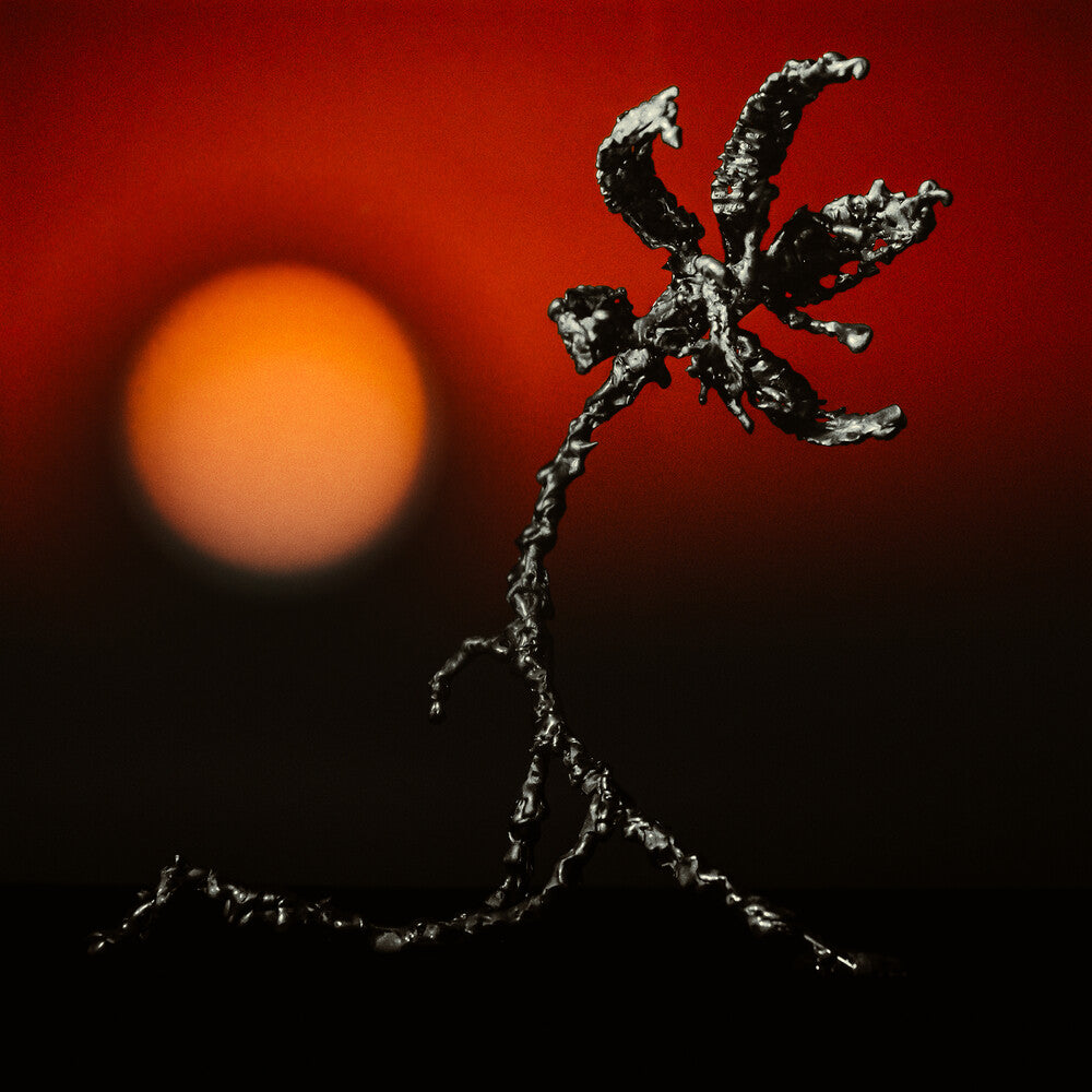 the album cover for Nze Nze - Adzi Akal