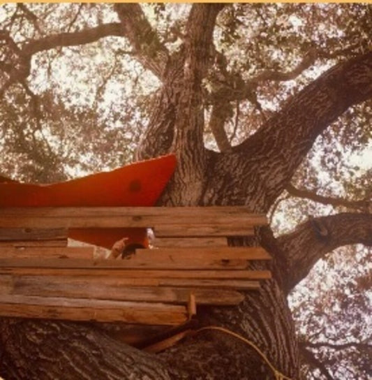 the album cover for The Backseat Lovers - Waiting To Spill [Indie Exclusive CD]