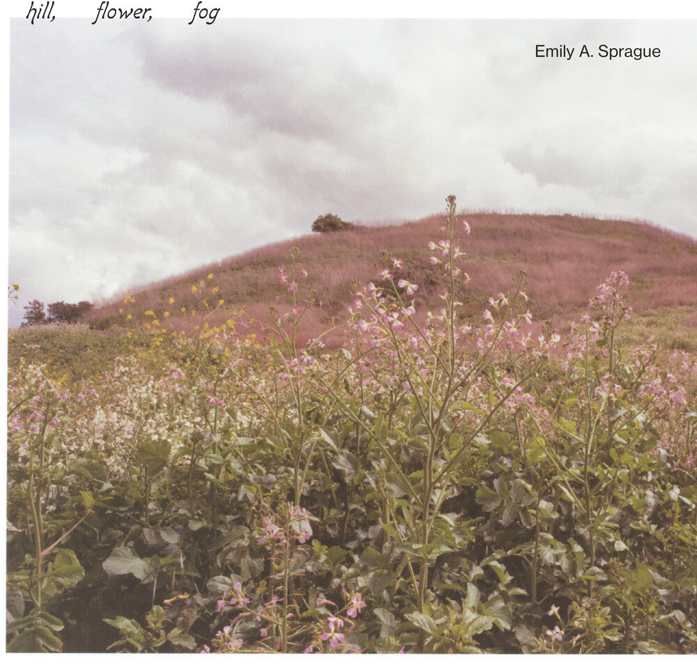 the album cover for Sprague, Emily a. - Hill, Flower, Fog - Foggy White