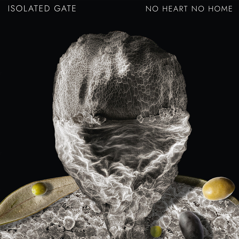the album cover for Isolated Gate - No Heart No Home (Ep) [Limited Edition]