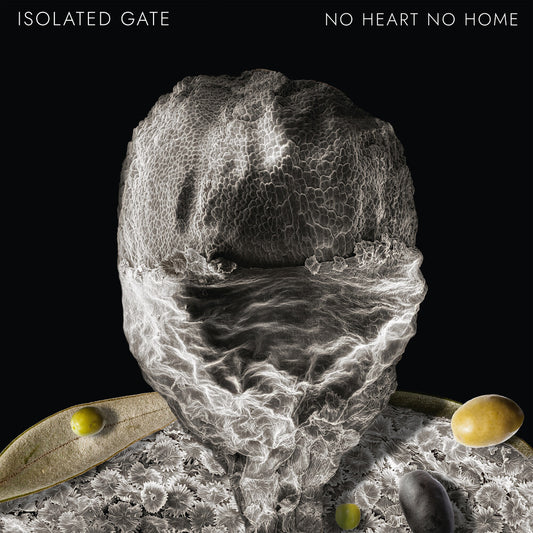 the album cover for Isolated Gate - No Heart No Home (Ep) [Limited Edition]