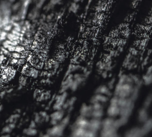 the album cover for Parallel Worlds - Plector