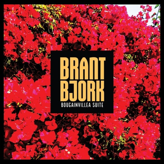 the album cover for Brant Bjork - Bougainvillea Suite