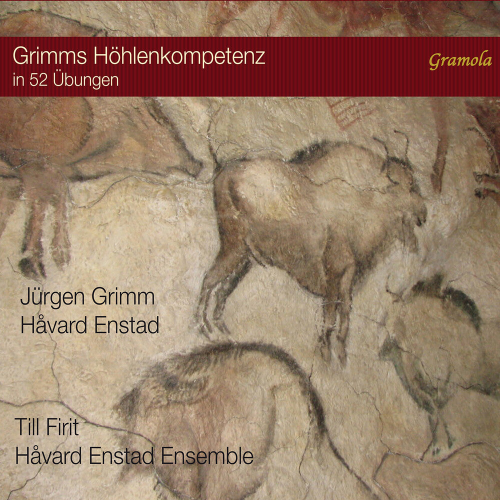 the album cover for Enstad / Grimm / Firit - Enstad Grimms Hohlenkompetenz In 52 Ubungen