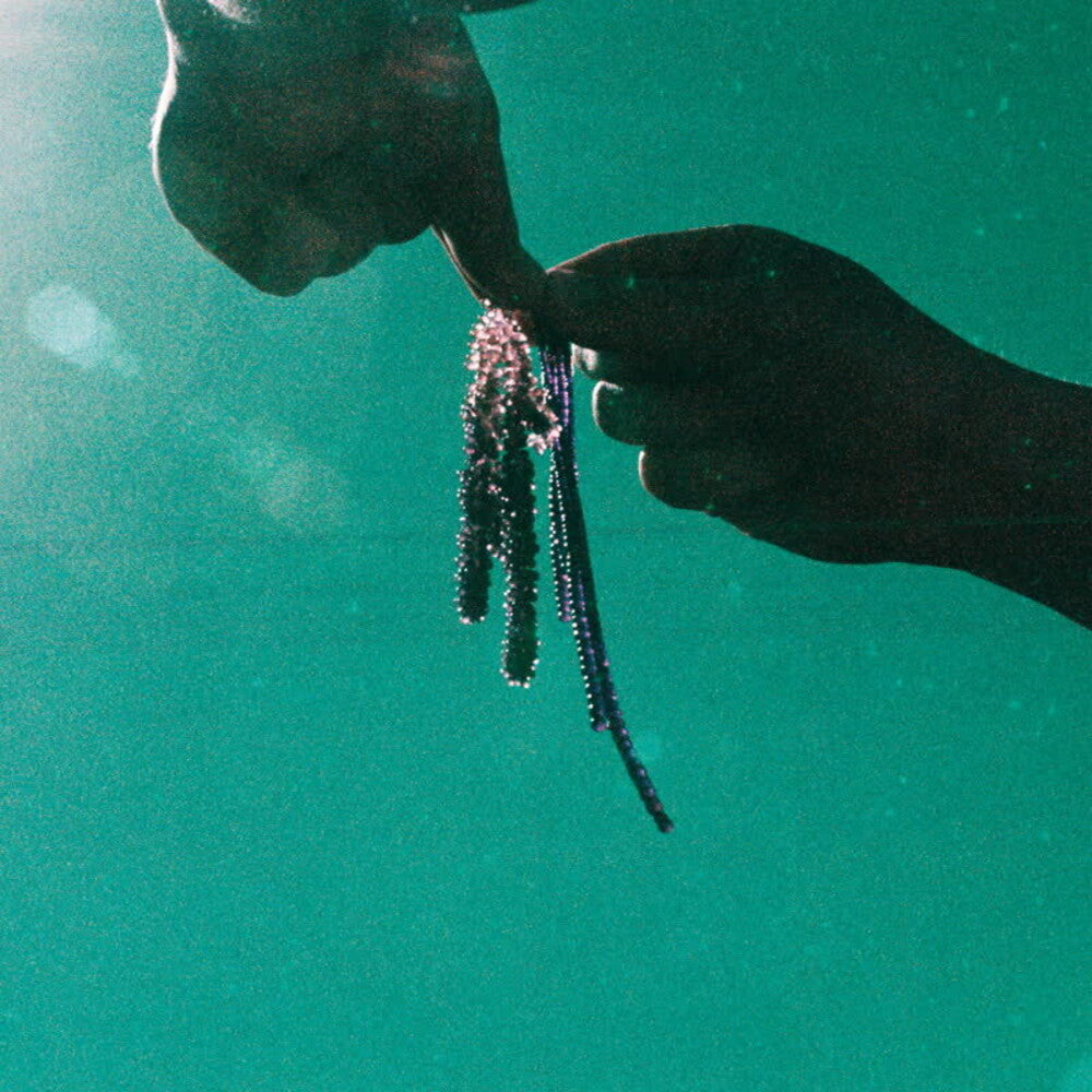 the album cover for Paddy Fred - Spells