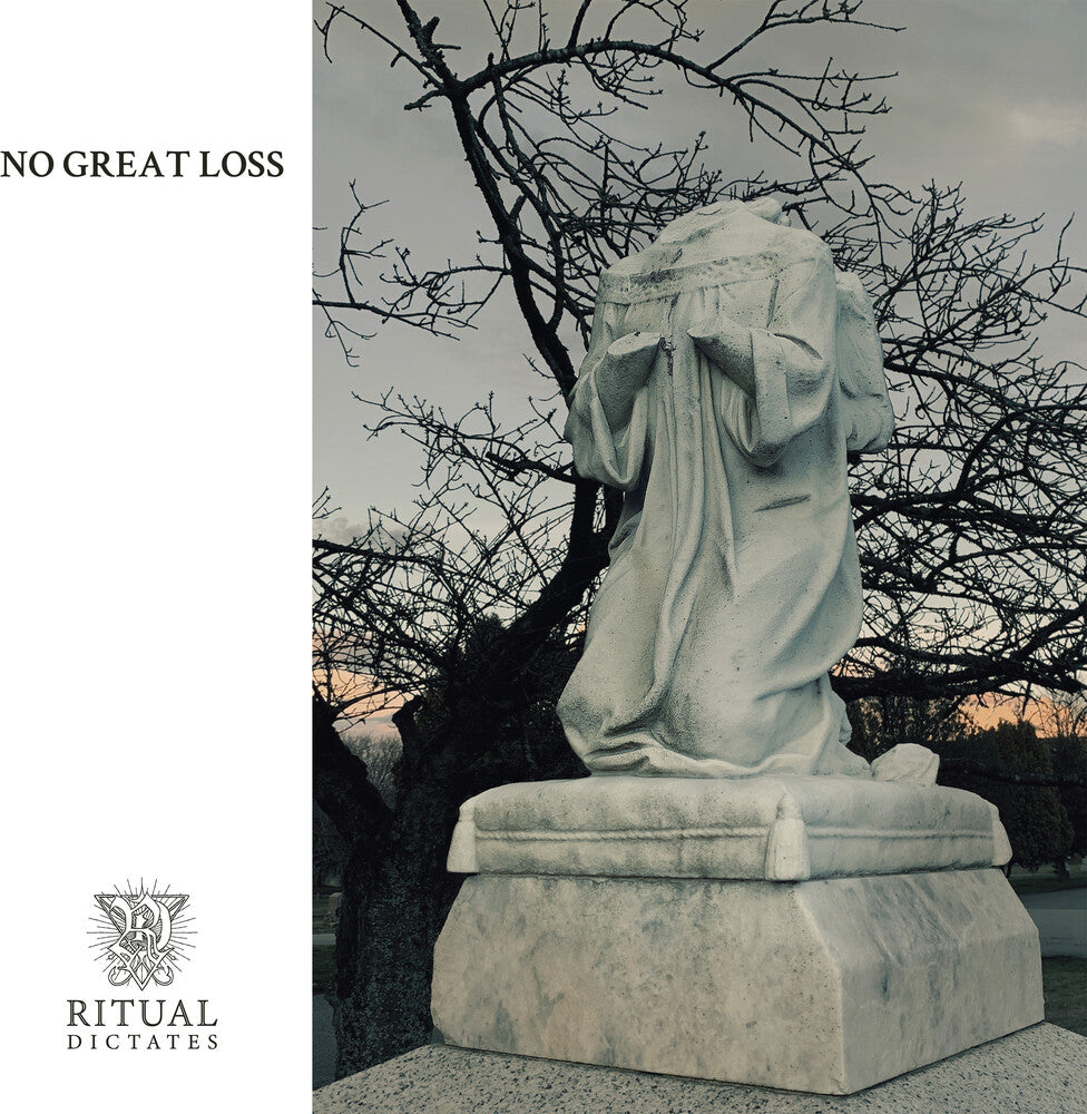 the album cover for Ritual Dictates - No Great Loss [Clear Vinyl] [Limited Edition]
