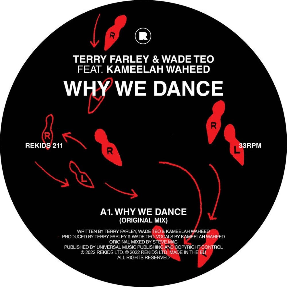 the album cover for Terry Farley - Why We Dance