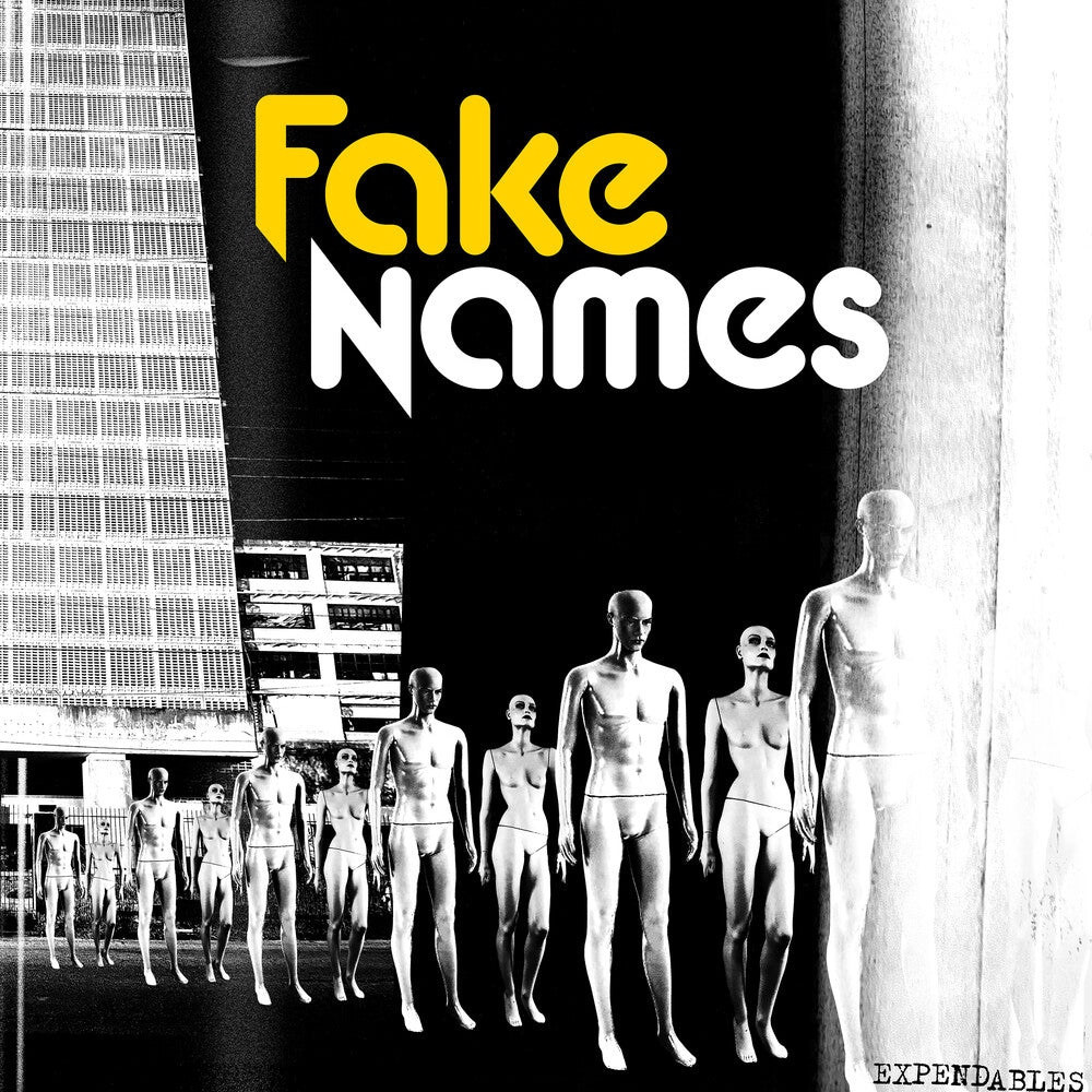 the album cover for Fake Names - Expendables [LP]