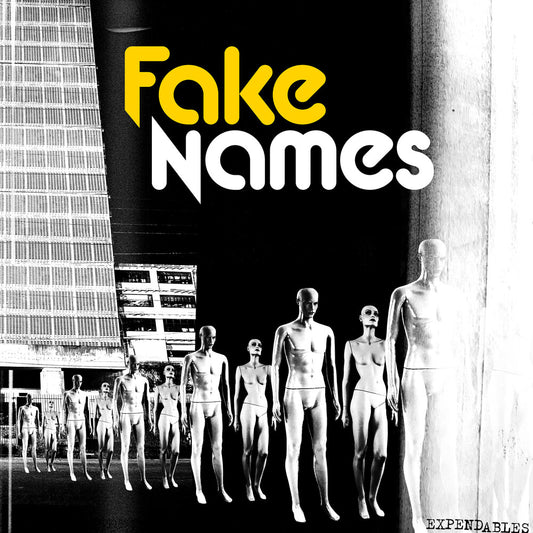 the album cover for Fake Names - Expendables [LP]