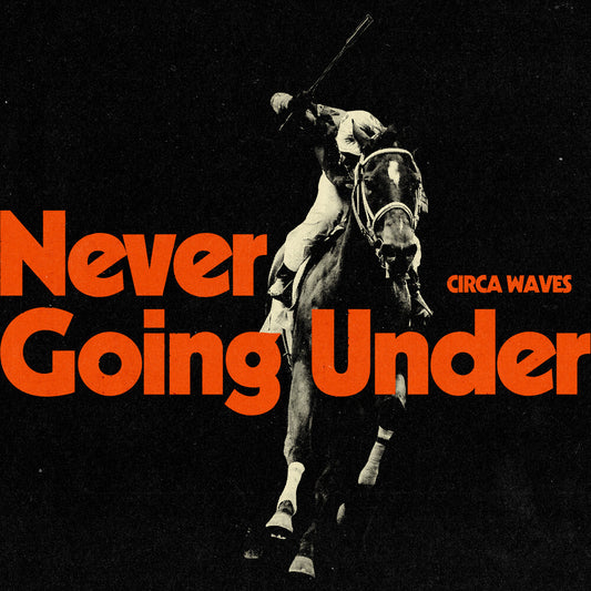 the album cover for Circa Waves - Never Going Under