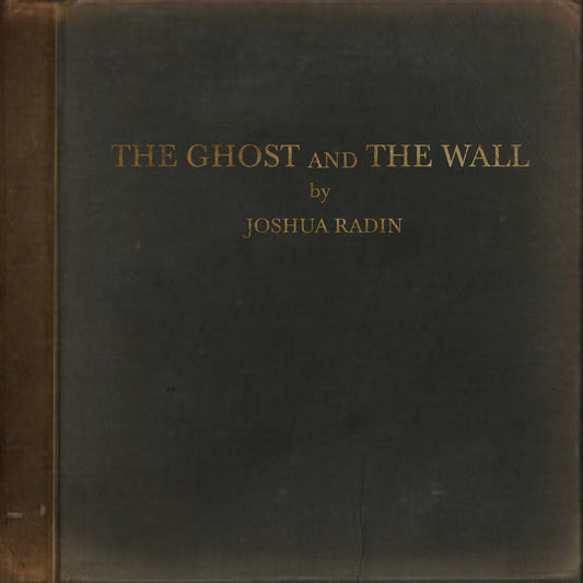 the album cover for Joshua Radin - The Ghost and the Wall