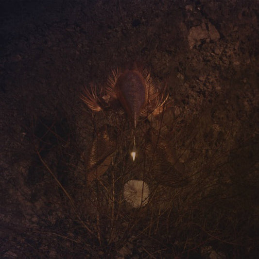 the album cover for Bongbongbeerwizards - Ampire [Colored Vinyl] (Grn) (Can)