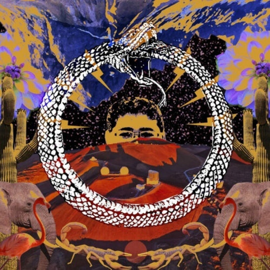 the album cover for Stone House on Fire - Neverending Cycle