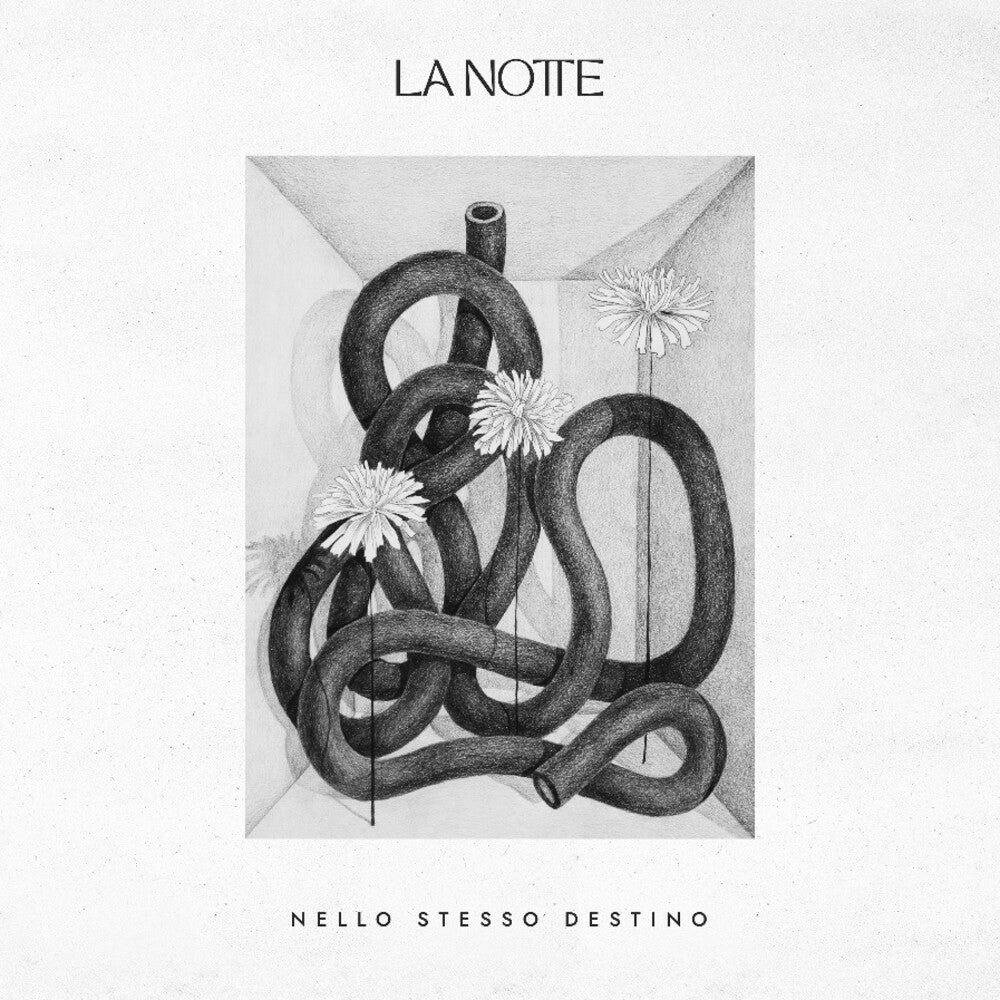 the album cover for La Notte - Nello Stesso Destino (Ita)