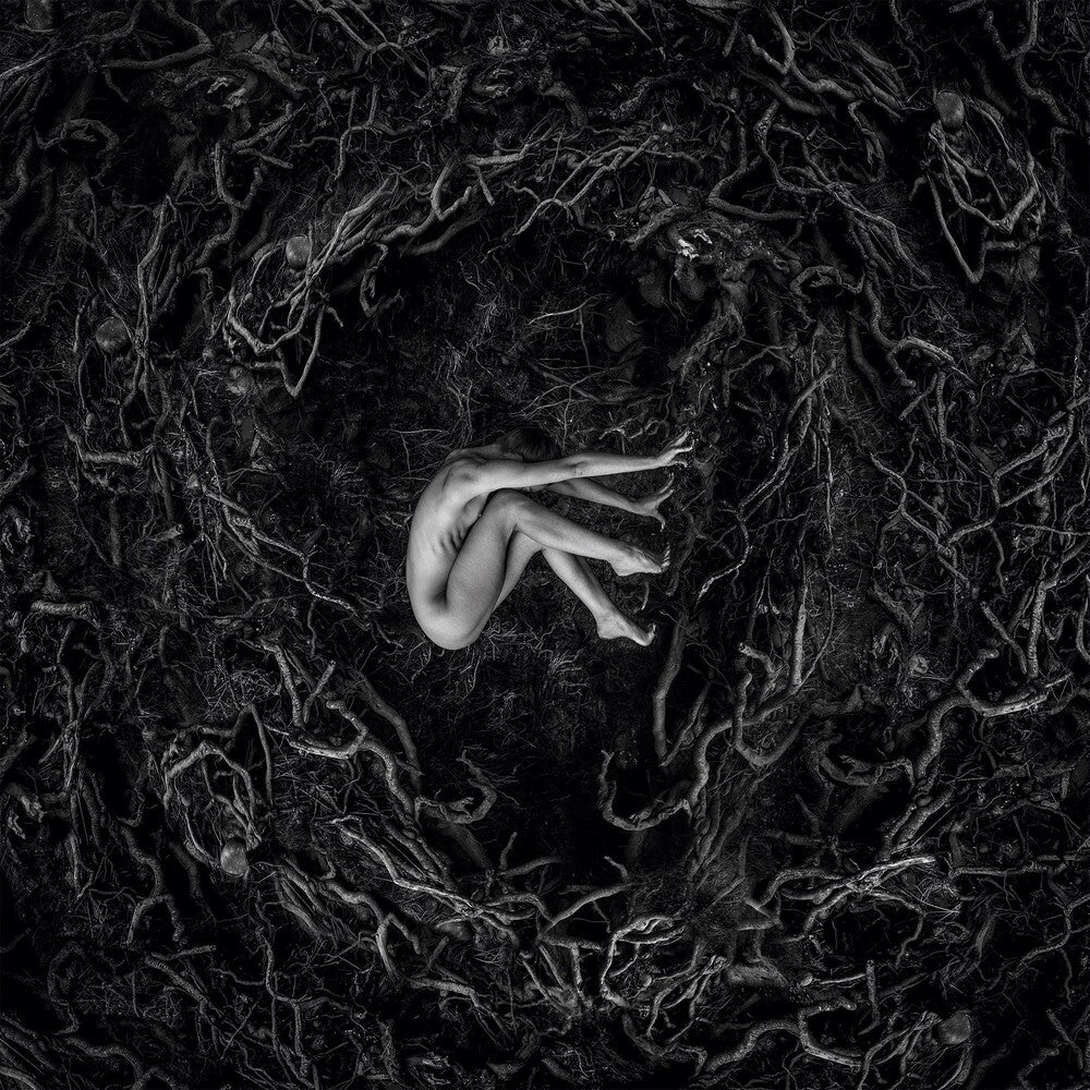 the album cover for FVNERALS - Let The Earth Be Silent [Digipak]