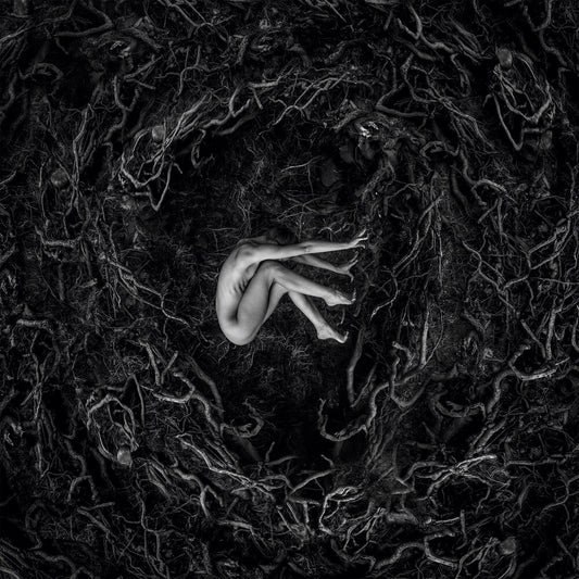 the album cover for FVNERALS - Let The Earth Be Silent [Digipak]