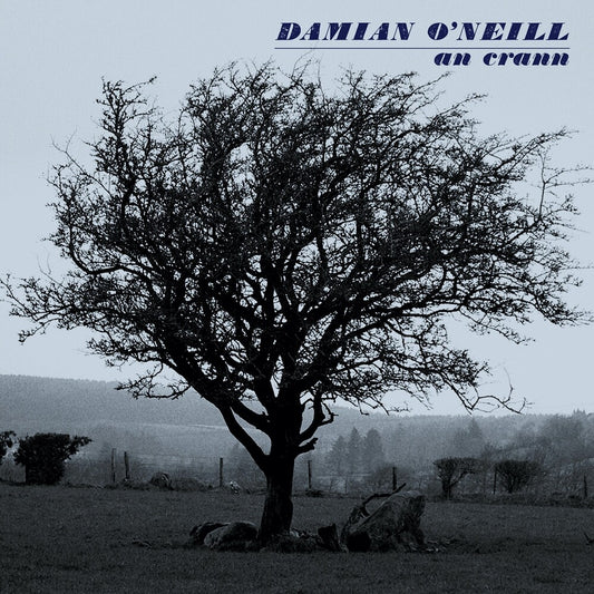the album cover for Damian O'Neill - Crann