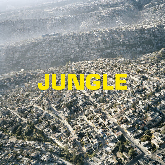 the album cover for The Blaze - Jungle