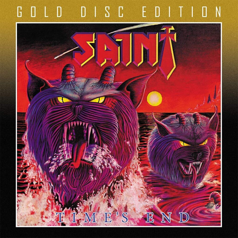 the album cover for Saint - Time's End
