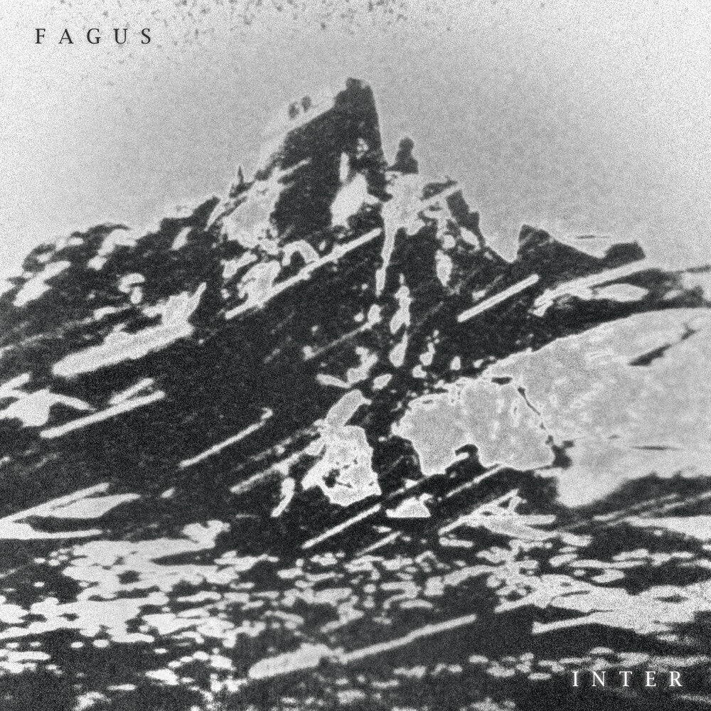 the album cover for Fagus - Inter [Digipak]