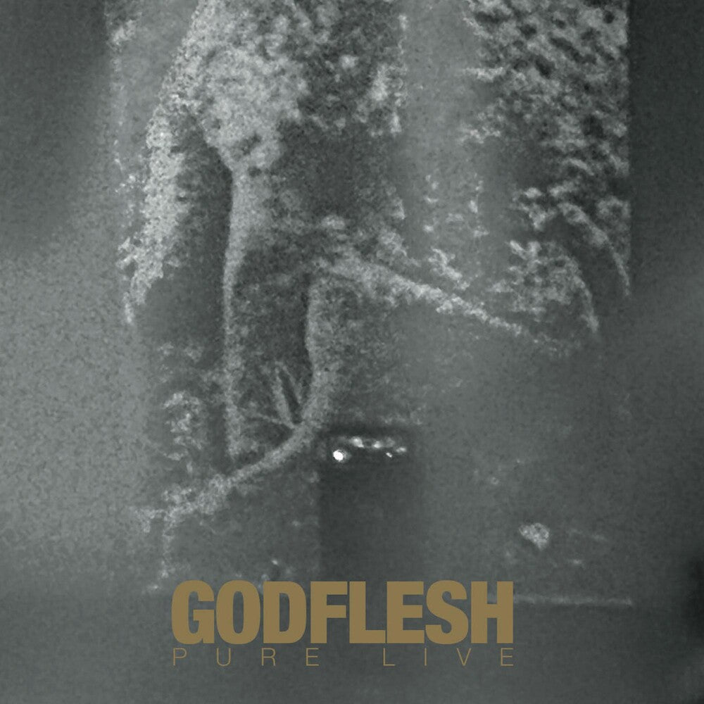 the album cover for Godflesh - Pure:Life