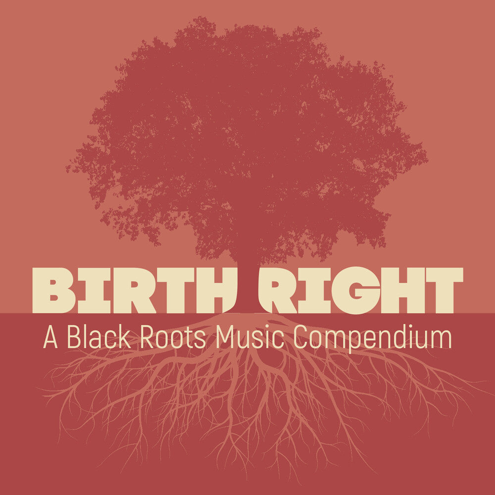 the album cover for Various Artists - Birthright: A Black Roots Music Compendium [2CD]