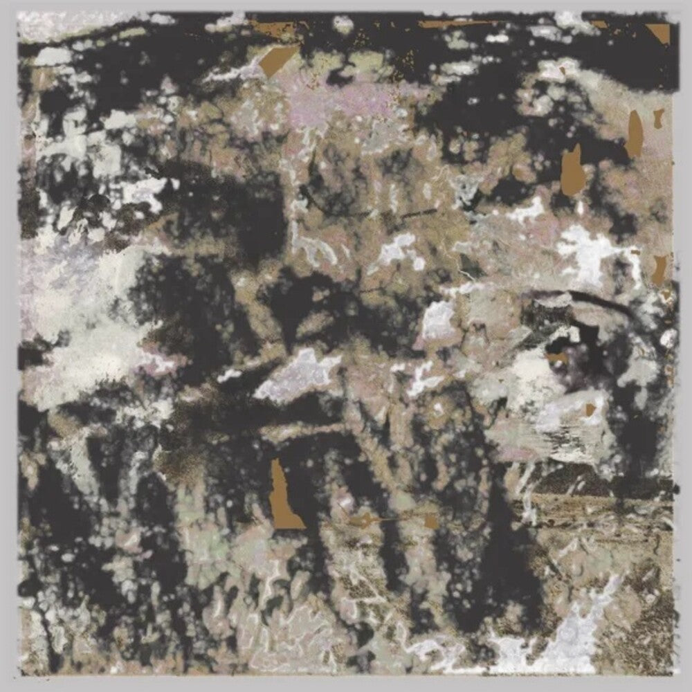 the album cover for Loraine James - Building Something Beautiful For Me (Uk)