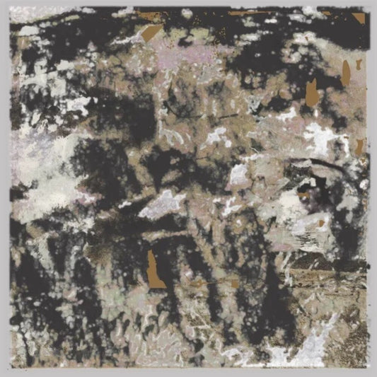 the album cover for Loraine James - Building Something Beautiful For Me (Uk)