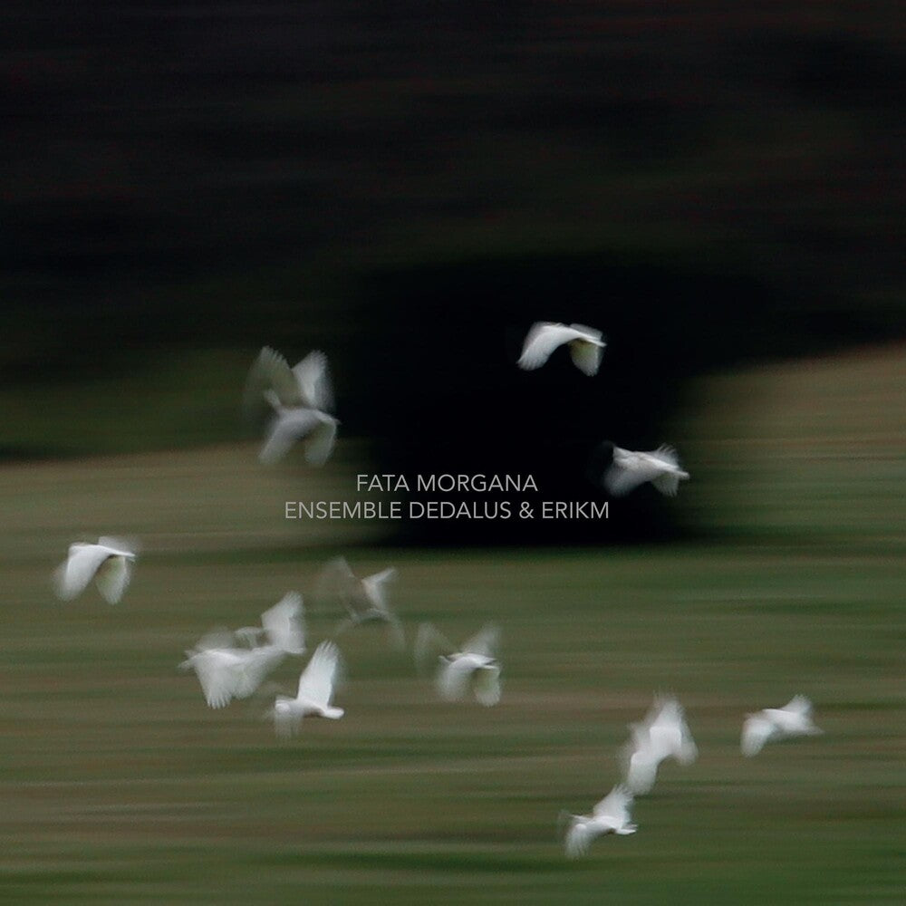 the album cover for Ensemble Dedalus - Fata Morgana