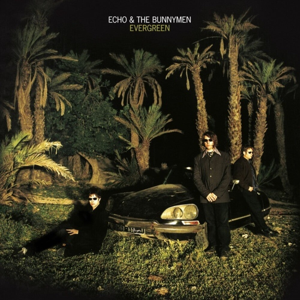 the album cover for Echo & The Bunnymen - Evergreen (Sted)