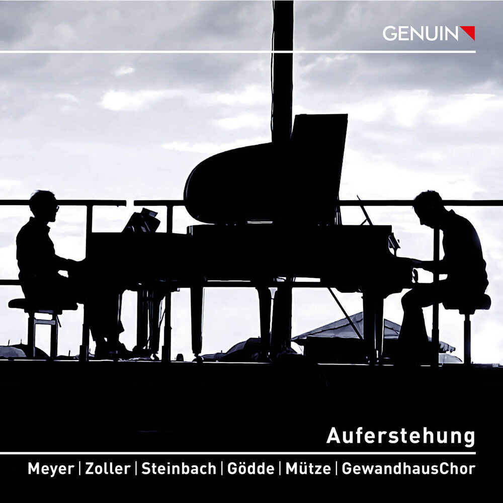 the album cover for Mahler / Meyer / Zoller - Auferstehung