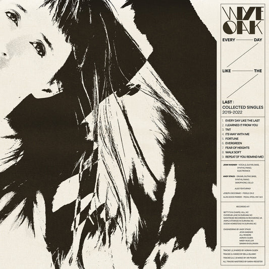 the album cover for Wye Oak - Every Day Like The Last: Collected Singles 2019-23