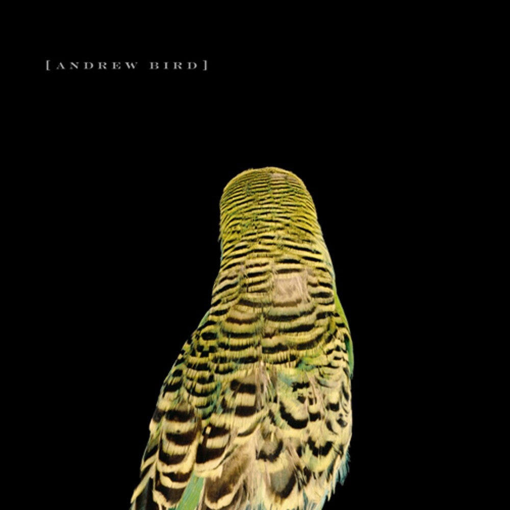 the album cover for Andrew Bird - Armchair Apocrypha