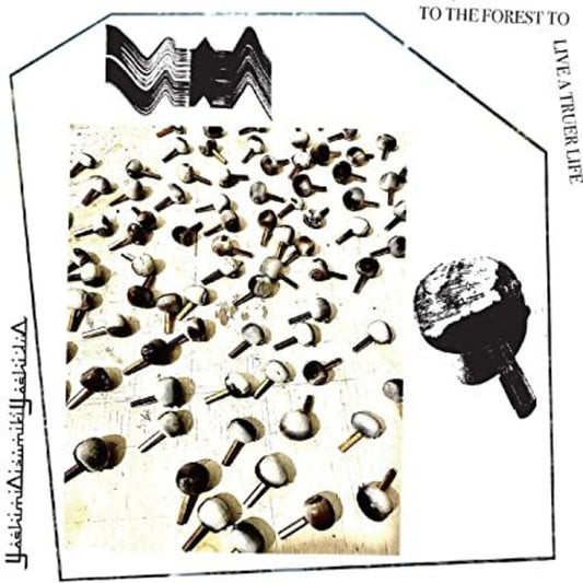 the album cover for Yoshimioizumikiyoshiduo - To The Forest To Live A Truer Life