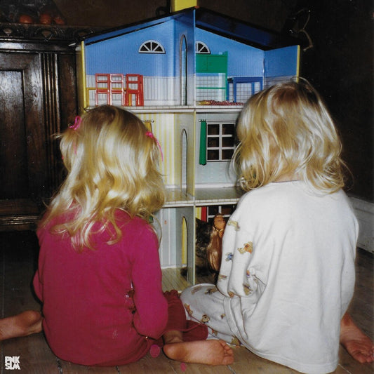 the album cover for 7EBRA - Bird Hour