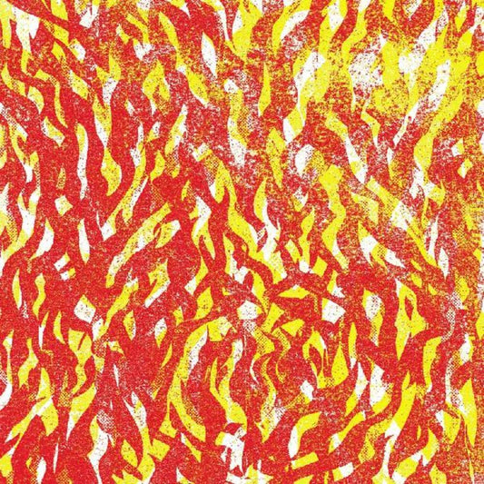 the album cover for The Bug - Fire [Indie Exclusive Limited Edition Yellow / Red 2LP]