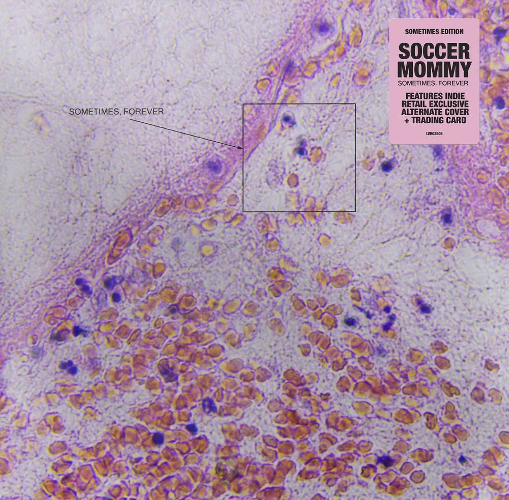 Soccer Mommy - Sometimes, Forever [Indie Exclusive Limited Edition Alternate Cover CD]