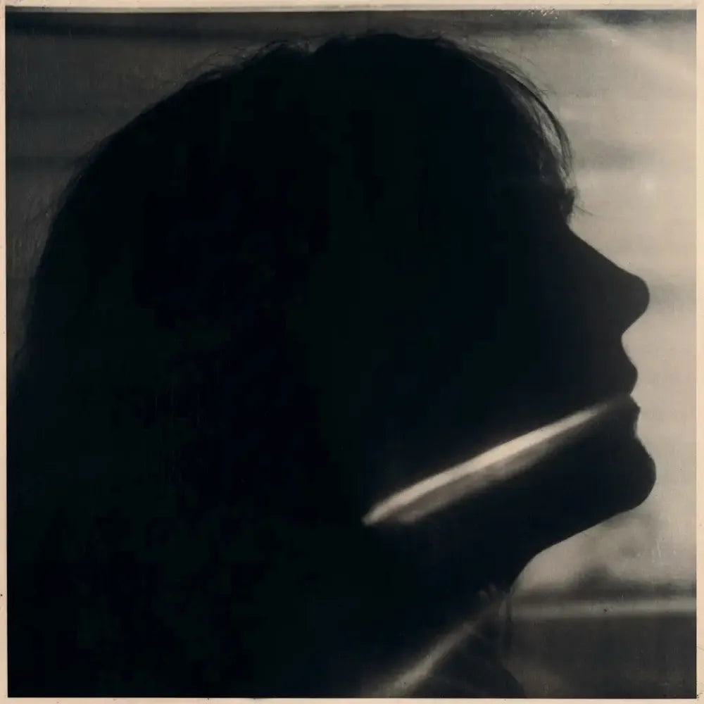 the album cover for Sarah Blasko - I Just Need To Conquer This Mountain [Colored Vinyl]