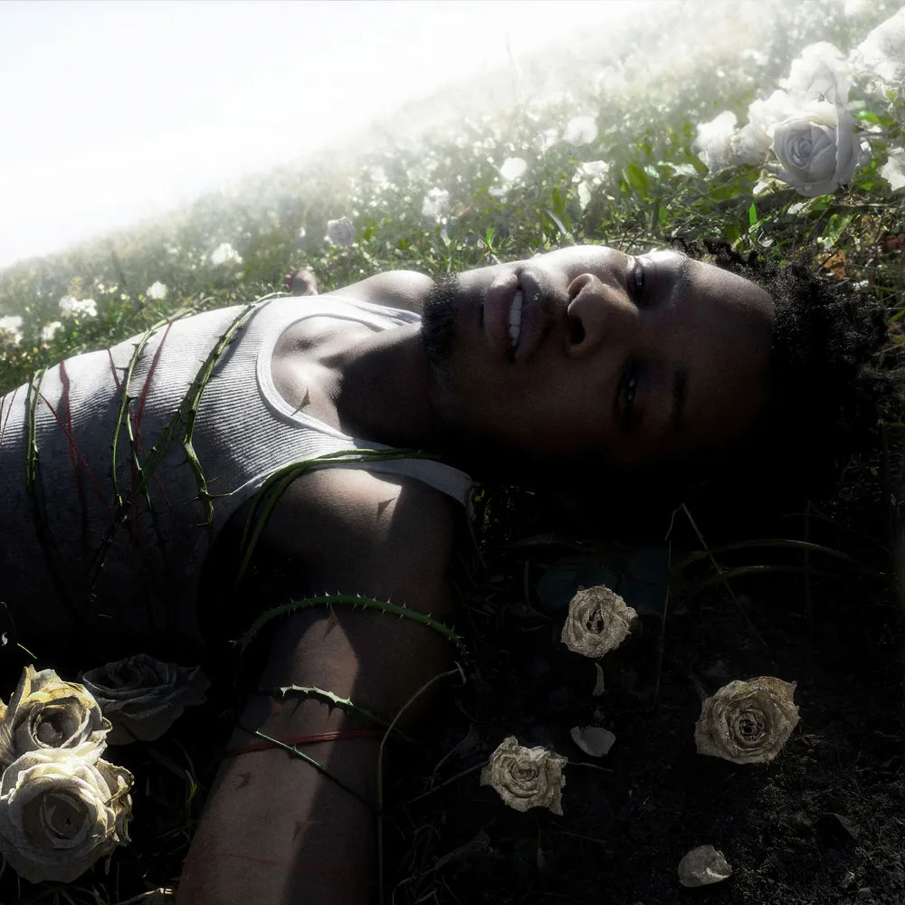 the album cover for d4vd - WITHERED [Indie Exclusive Standard Signed CD]