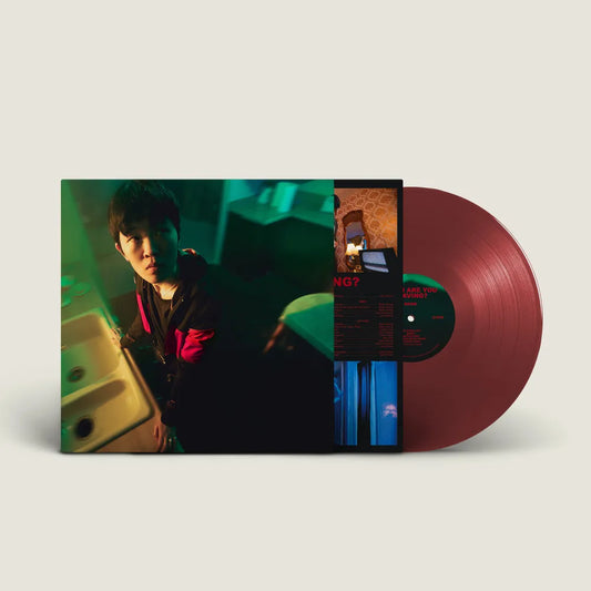 Pre-Order: NoSo - When Are You Leaving? [Oxblood Vinyl]
