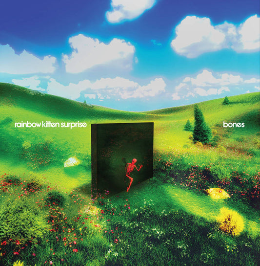 Pre-Order: Rainbow Kitten Surprise - bones