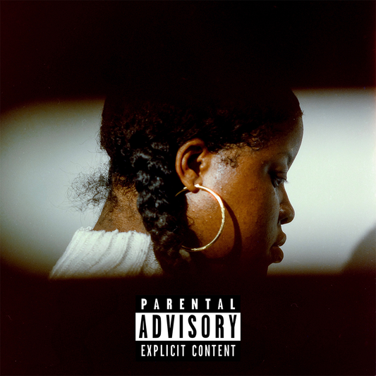 the album cover for Che Noir & The Other Guys - No Validation