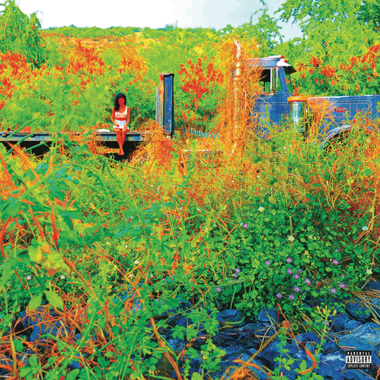 the album cover for Jhene Aiko - Trip [RSD 2026]