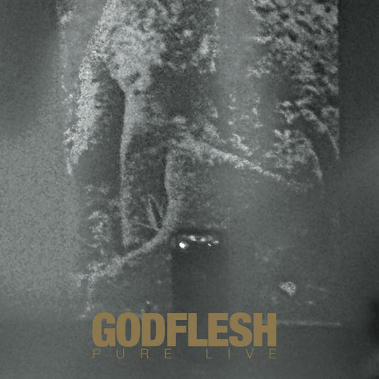 the album cover for Godflesh - Pure: Live (Blk) [Colored Vinyl] (Gol) (Wht) (Spla) (Uk)